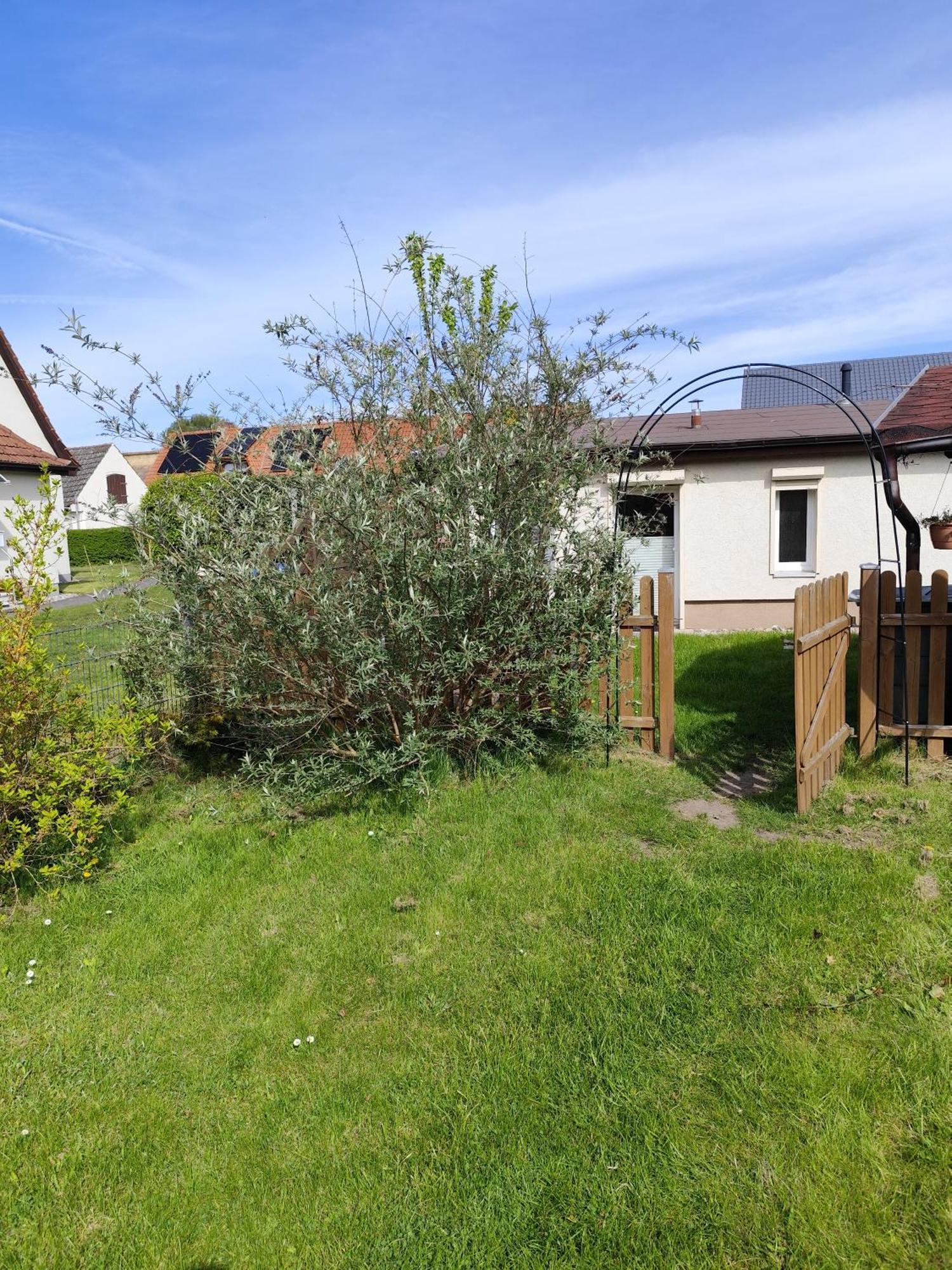 Sonnengarten Uckeritz Bagian luar foto